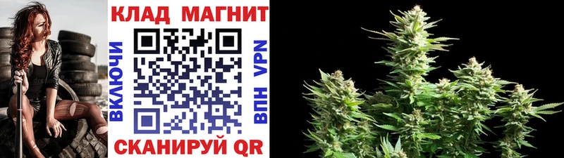Названия наркотиков Приморско-Ахтарск Псилоцибиновые грибы  Мефедрон  ГАШ  Канабис 