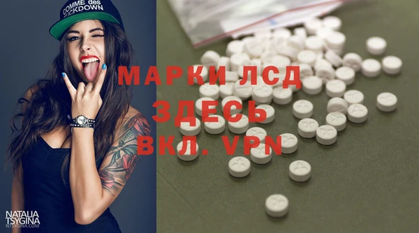 гидра Елабуга