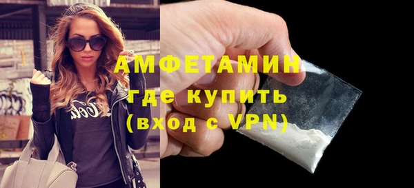 гидра Елабуга