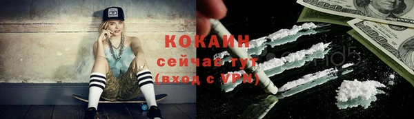 гидра Елабуга