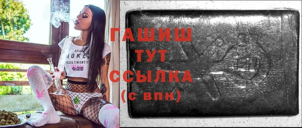гидра Елабуга