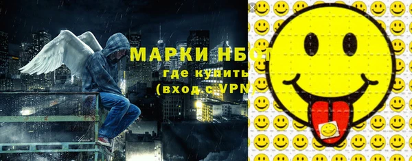 мяу мяу мука Ессентукская