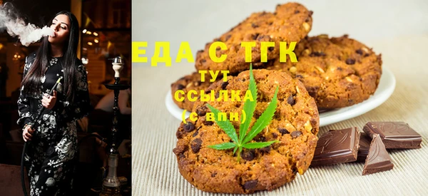 гидра Елабуга