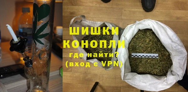 гидра Елабуга