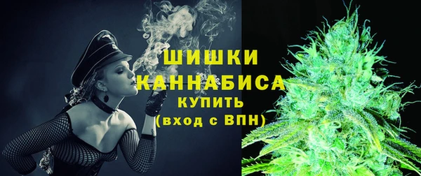 гидра Елабуга