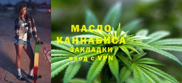 гидра Елабуга