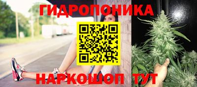 молекула духа Жуковский