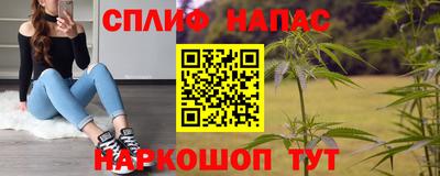 молекула духа Жуковский