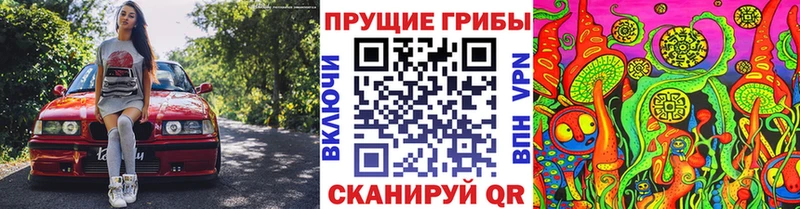 наркота  Приморско-Ахтарск  Галлюциногенные грибы мицелий 