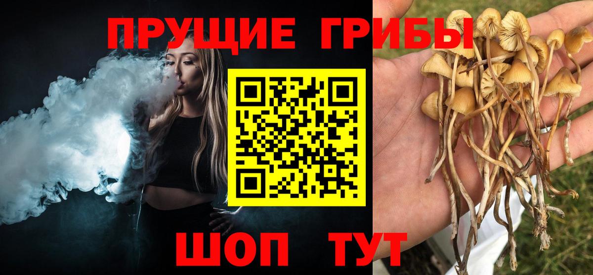 Псилоцибиновые грибы мухоморы Приморско-Ахтарск